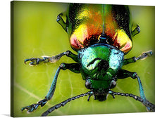  This exquisite print, titled “Beetle’s Glory”, captures the mesmerizing beauty of a vibrant beetle perched on a leaf. The iridescent shell of the beetle, reflecting a spectrum of colors from green to yellow to red, is rendered with stunning clarity. The fine black lines and spots on its body add texture to its appearance, while the green leaf with visible veins provides a contrasting backdrop. 