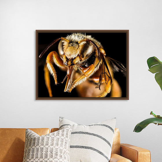 "Greek Bee"