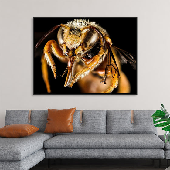 "Greek Bee"