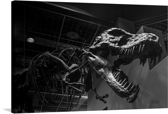 The “T-Rex Skeleton” print is a captivating piece of art that captures the essence of the prehistoric era. The highly detailed skeleton, illuminated by artificial lighting, showcases the intricate structure of the T-Rex’s skull, teeth, and bones. The monochromatic tones imbue an air of mystery and ancient allure, making it a captivating centerpiece for any space. This artwork isn’t just a print; it’s an experience—a journey back in time to an era where these magnificent creatures ruled the earth. 