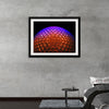 "Purple and Red Ball Decor", Kevin Crosby