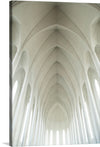 Immerse yourself in the ethereal beauty of this exquisite print, capturing the architectural elegance of a grand cathedral’s ceiling. Each curve and arch is a testament to masterful design, inviting viewers into a world where artistry and spirituality intertwine. The soft illumination filtering through elongates each form, casting an otherworldly glow that accentuates the intricate details. 