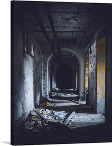  Dive into the enigmatic allure of “Echoes of Silence,” a limited edition print capturing the haunting beauty of abandonment and decay. This artwork, featuring an abandoned corridor bathed in ethereal light, tells a story of a time long past. Every crack in the paint, every piece of debris echoes the silent songs of lives once lived here. The darkened archway at the end adds an element of intrigue, inviting viewers into a world where mystery and melancholy intertwine.