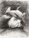 "The Impotent Wing Did Not Lift the Animal into That Black Space (1883)", Odilon Redon