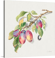  Immerse yourself in the serene beauty of nature with this exquisite print, capturing the delicate allure of plump, ripe plums hanging gracefully from a branch. Every stroke and hue is meticulously crafted to bring the vibrancy and tranquility of a sun-kissed orchard into your space. This artwork, rich in detail and color, promises not just a visual treat but an experience that transports you to a world where nature’s bounty and artistry coalesce. 