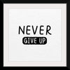 "Never Give Up"