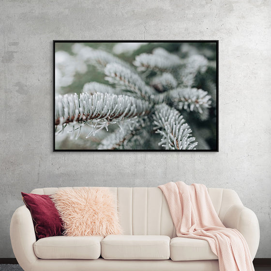 "Pine Tree Covered with Frost"