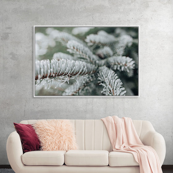 "Pine Tree Covered with Frost"