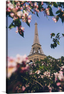  “The Eiffel Tower at Champ de Mars in Paris, France” is an exquisite photograph that captures the iconic Eiffel Tower against a clear blue sky. The tower stands tall, its intricate iron lattice reaching for the heavens. Framed by blooming flowers in soft focus, this image juxtaposes human-made architectural wonder with the delicate beauty of nature. 