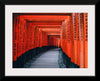 "Fushimi Inari Trail, Kyōto-shi, Japan"