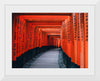 "Fushimi Inari Trail, Kyōto-shi, Japan"