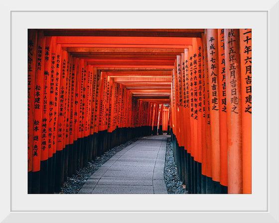 "Fushimi Inari Trail, Kyōto-shi, Japan"