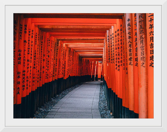 "Fushimi Inari Trail, Kyōto-shi, Japan"