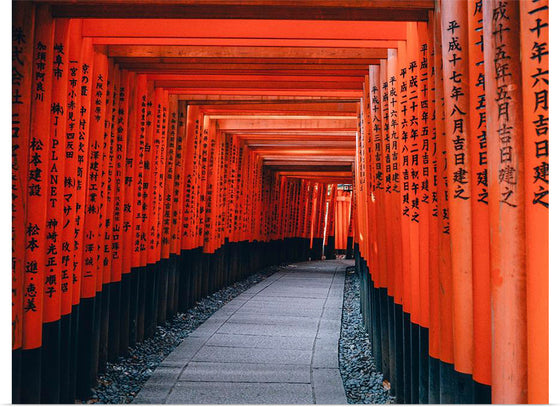 "Fushimi Inari Trail, Kyōto-shi, Japan"