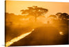 This is a stunning image of Amboseli National Park in Kenya. The park is known for its large herds of elephants, as well as its views of Mount Kilimanjaro. The photograph captures the beauty and majesty of Amboseli National Park. The photograph is also a reminder of the importance of conservation. Amboseli National Park is home to a variety of wildlife, including elephants, lions, leopards, and cheetahs.