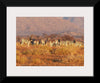 "Zebras standing on a grassy plain in Namibia"