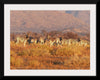 "Zebras standing on a grassy plain in Namibia"