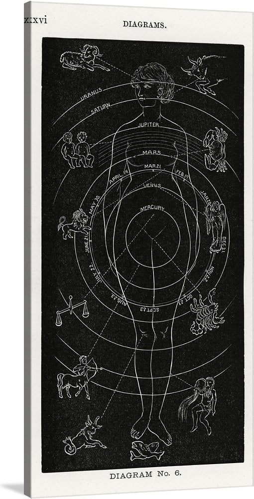 This is a black and white illustration of a woman with the planets and zodiac signs surrounding her. The artwork is titled “Diagram No. 6” and is a part of a series of diagrams from edition of Solar Biology by Hiram Erastus Butler (1841-1916). 