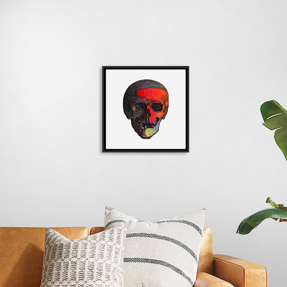 "Colorful skull"