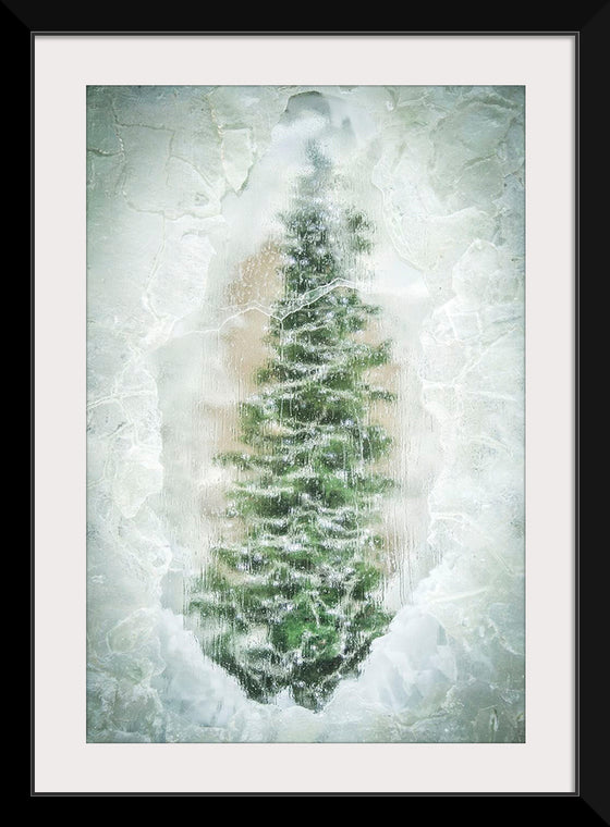 "Christmas Tree"