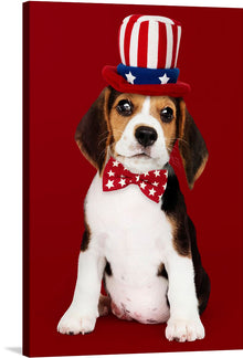  This print is a playful and patriotic image of a Beagle wearing a red, white, and blue top hat and bow tie. The background is a solid red, making the dog stand out. This print would be a fun addition to any home or office.