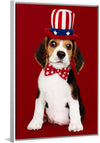 "Cute Beagle Puppy in Uncle Sam Hat and Bow Tie"