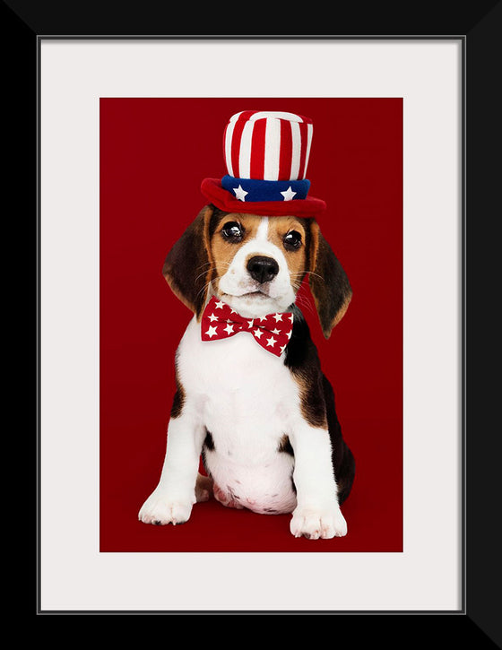 "Cute Beagle Puppy in Uncle Sam Hat and Bow Tie"