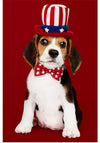 "Cute Beagle Puppy in Uncle Sam Hat and Bow Tie"