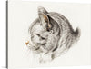 Adorn your space with the serene beauty encapsulated in this exquisite print. The artwork, a meticulous sketch, captures a cat in a moment of tranquil repose. Every stroke reveals the artist’s mastery, rendering the feline’s fur with astonishing realism and detail. The cat’s closed eyes and peaceful expression evoke a sense of calm and quietude that will infuse any room with warmth and elegance.