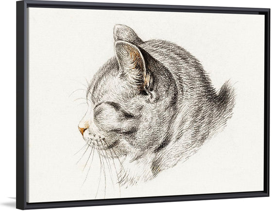 "Sketch of a Cat (1813)", Jean Bernard