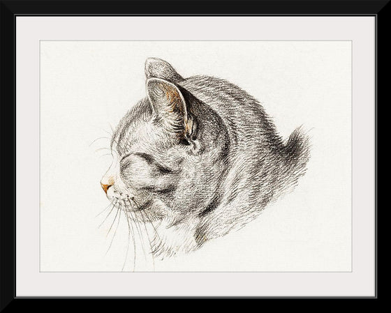 "Sketch of a Cat (1813)", Jean Bernard