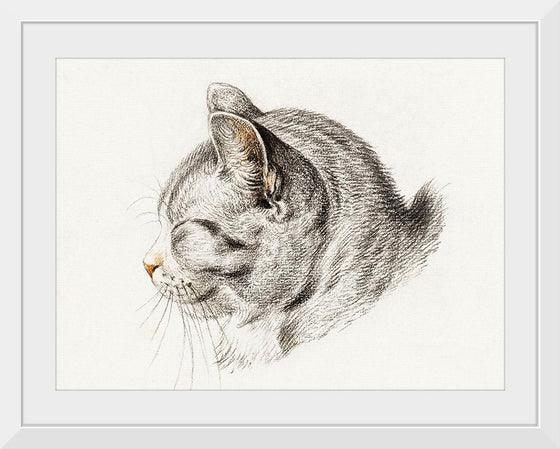 "Sketch of a Cat (1813)", Jean Bernard