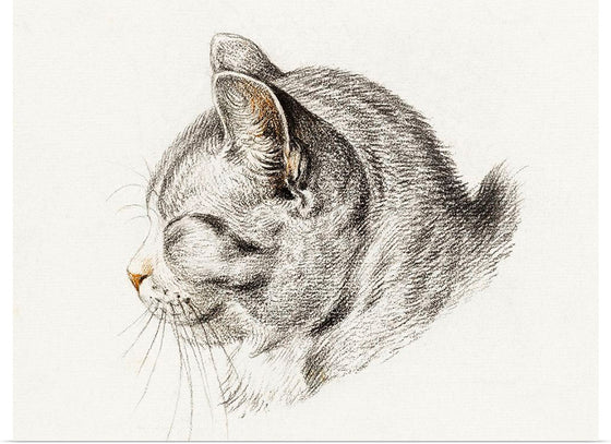 "Sketch of a Cat (1813)", Jean Bernard