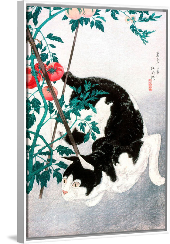 "Cat with Tomato Plant", Hiroaki Takahashi