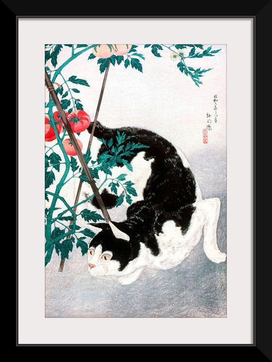 "Cat with Tomato Plant", Hiroaki Takahashi