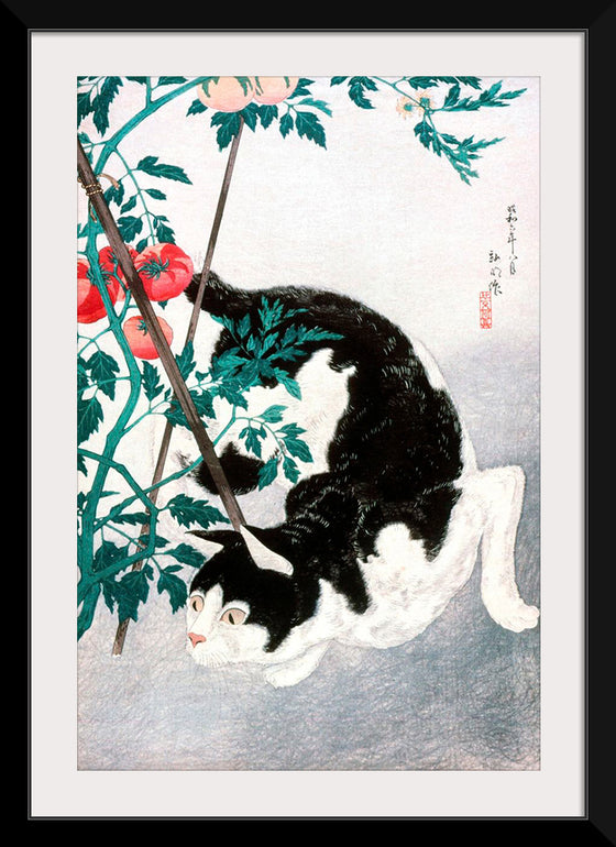 "Cat with Tomato Plant", Hiroaki Takahashi