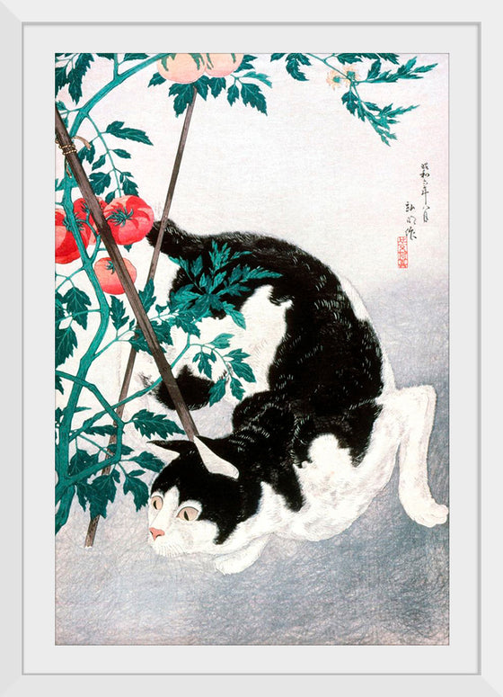 "Cat with Tomato Plant", Hiroaki Takahashi