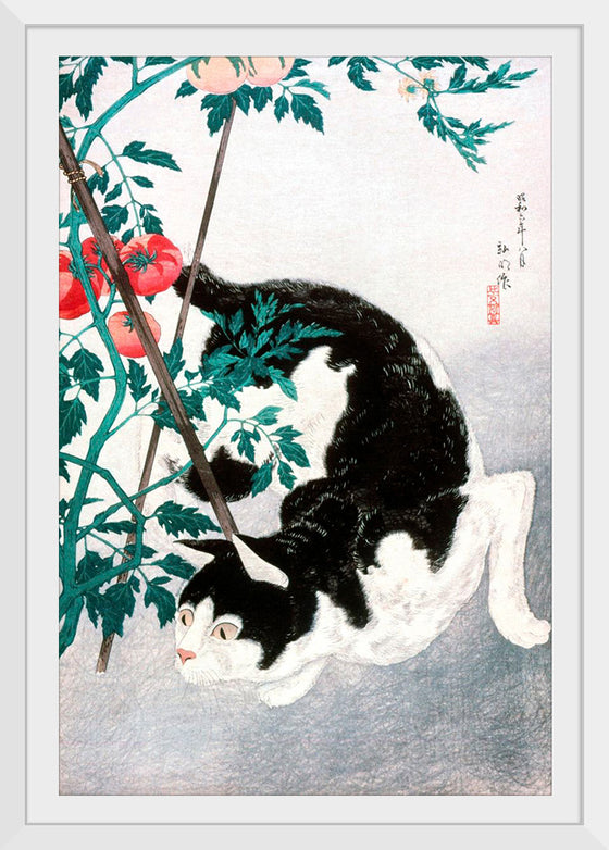 "Cat with Tomato Plant", Hiroaki Takahashi