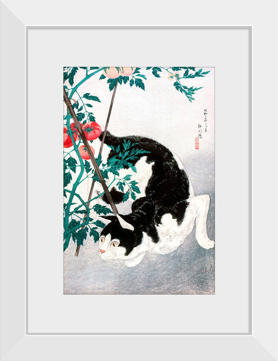 "Cat with Tomato Plant", Hiroaki Takahashi