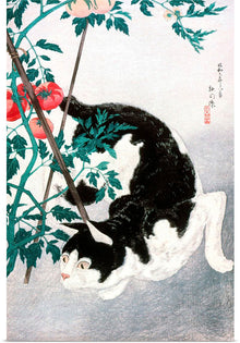  "Cat with Tomato Plant", Hiroaki Takahashi