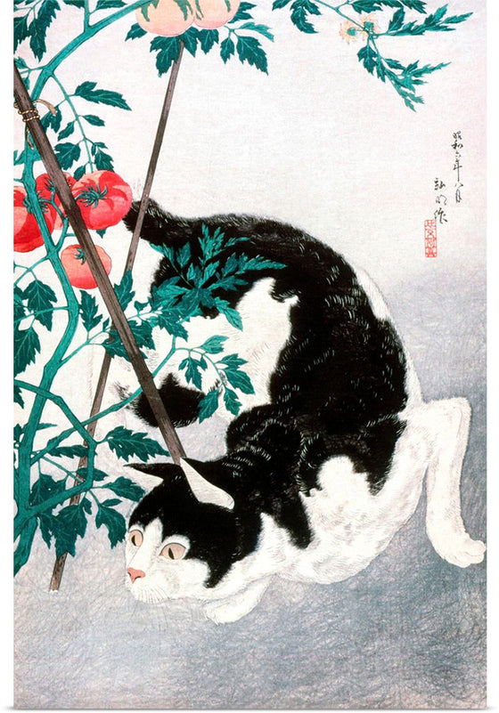 "Cat with Tomato Plant", Hiroaki Takahashi