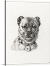 This black and white drawing of a dog wearing a collar with a keyhole on it is a simple but charming work of art. The dog is sitting in profile, and its expression is one of contentment. The collar with the keyhole is a unique and interesting detail that adds to the dog's personality.