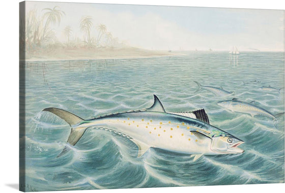 “Red Drum Chromolithograph” by Samuel Kilbourne is a captivating print that captures the majestic Red Drum fish, gracefully navigating through the tranquil waters. The artwork features every scale, every wave, and every distant palm tree rendered with meticulous detail, offering a glimpse into a world where nature’s beauty is both profound and infinite. 