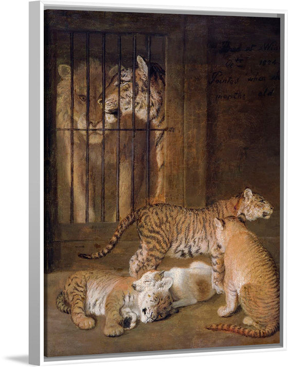 "Group of Whelps Bred between a Lion and a Tigress (1825)", Jacques–Laurent Agasse