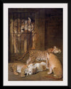 "Group of Whelps Bred between a Lion and a Tigress (1825)", Jacques–Laurent Agasse