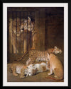 "Group of Whelps Bred between a Lion and a Tigress (1825)", Jacques–Laurent Agasse