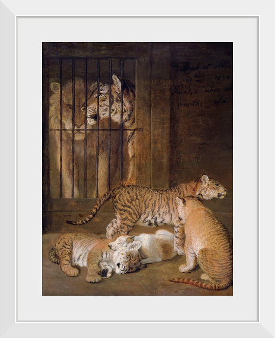 "Group of Whelps Bred between a Lion and a Tigress (1825)", Jacques–Laurent Agasse