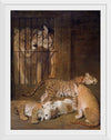 "Group of Whelps Bred between a Lion and a Tigress (1825)", Jacques–Laurent Agasse