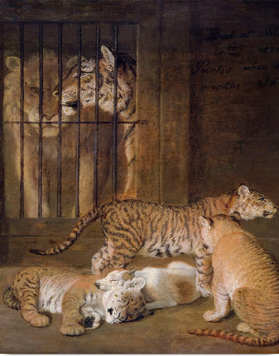 "Group of Whelps Bred between a Lion and a Tigress (1825)", Jacques–Laurent Agasse