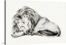  Immerse yourself in the serene beauty of “Lying Lion” by Jean Bernard. This exquisite artwork, available as a premium print, captures the majestic yet tranquil essence of a lion at rest.